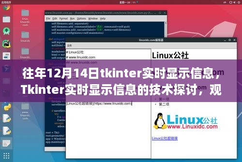 Tkinter实时显示信息的技术深度探讨与观点阐述