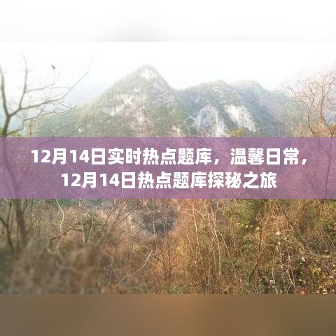 12月14日热点题库探秘之旅，实时更新，温馨日常全解析