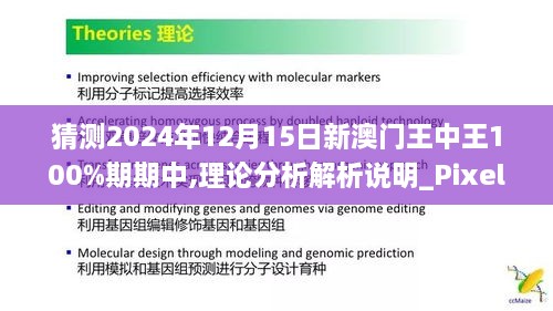 猜测2024年12月15日新澳门王中王100%期期中,理论分析解析说明_Pixel11.618