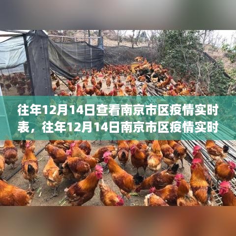 往年12月14日南京市区疫情实时表概览，应用评测与竞品分析，特性与体验报告