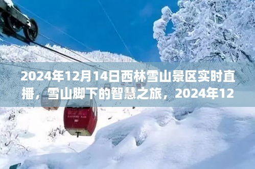 雪山脚下智慧之旅，西林雪山景区实时直播，见证变化的力量与自信之美