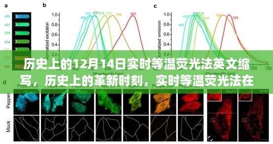 实时等温荧光法深度探索与评测，历史上的革新时刻回顾与未来展望