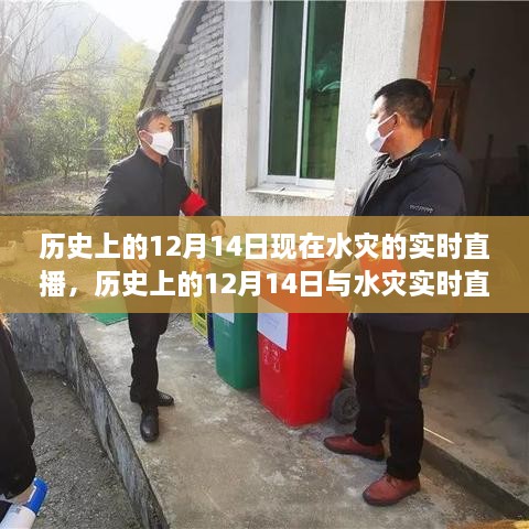 历史上的12月14日水灾实时直播，深度评测与介绍专题放送