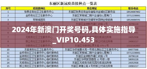 2024年新澳门开奖号码,具体实施指导_VIP10.453