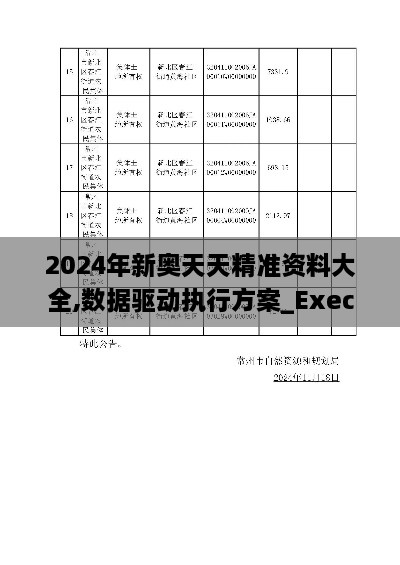 2024年新奥天天精准资料大全,数据驱动执行方案_Executive4.804