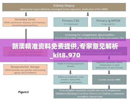 新澳精准资料免费提供,专家意见解析_kit8.970