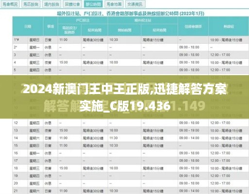 2024新澳门王中王正版,迅捷解答方案实施_C版19.436