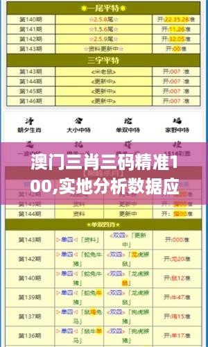 澳门三肖三码精准100,实地分析数据应用_8K9.983