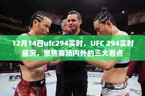 UFC 294赛场内外三大看点，实时盛况聚焦！