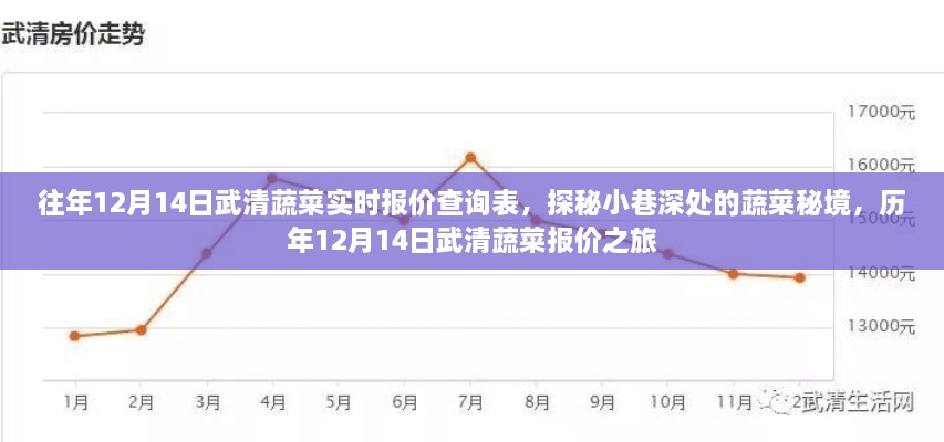 历年12月14日武清蔬菜报价探秘，小巷深处的蔬菜秘境实时报价查询表