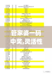 管家婆一码中奖,灵活性计划实施_YE版5.837