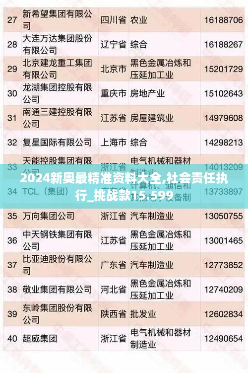 2024新奥最精准资料大全,社会责任执行_挑战款15.599