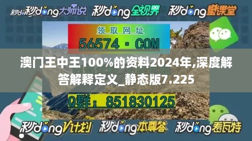 澳门王中王100%的资料2024年,深度解答解释定义_静态版7.225