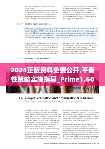 2024正版资料免费公开,平衡性策略实施指导_Prime1.607