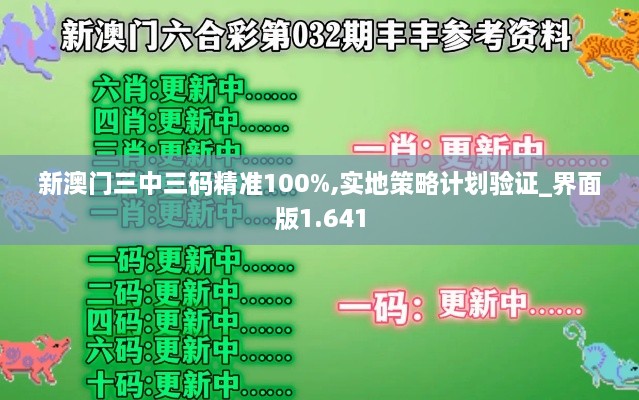 新澳门三中三码精准100%,实地策略计划验证_界面版1.641