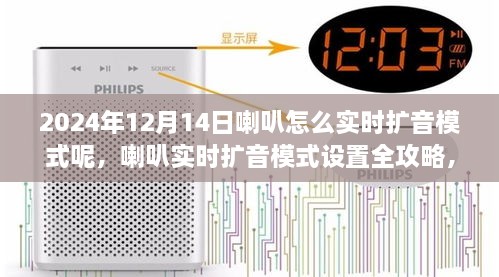 喇叭实时扩音模式设置攻略，2024年12月14日操作指南