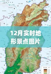 初告白 第7页