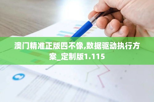 澳门精准正版四不像,数据驱动执行方案_定制版1.115