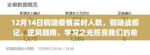 铜陵战疫实时更新，逆风翱翔，学习之光照亮希望之路