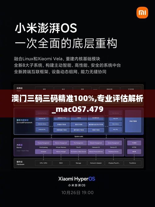 澳门三码三码精准100%,专业评估解析_macOS7.479