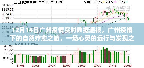 广州疫情下的自然疗愈与心灵远行，实时数据通报及发现之旅