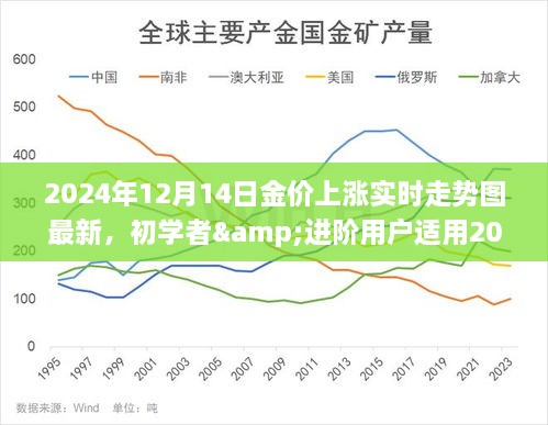 全面解析与查看指南，2024年12月14日金价上涨实时走势图，适用于初学者与进阶用户