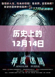 12月14日电影之夜，家庭影院之旅实时票房记录