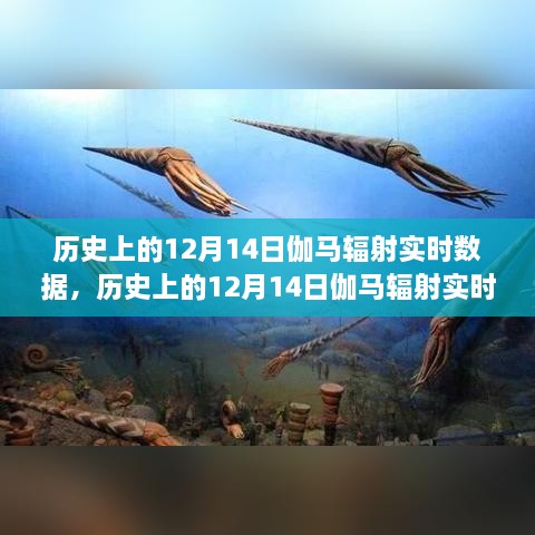 探索宇宙射线之秘，揭秘历史上的伽马辐射实时数据（12月14日篇）