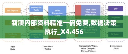 新澳内部资料精准一码免费,数据决策执行_X4.456