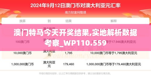 澳门特马今天开奖结果,实地解析数据考察_WP110.559