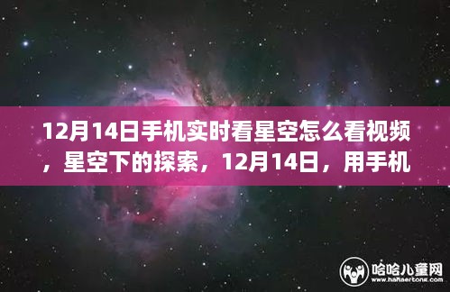 12月14日手机实时观星指南，星空下的心灵之旅启动