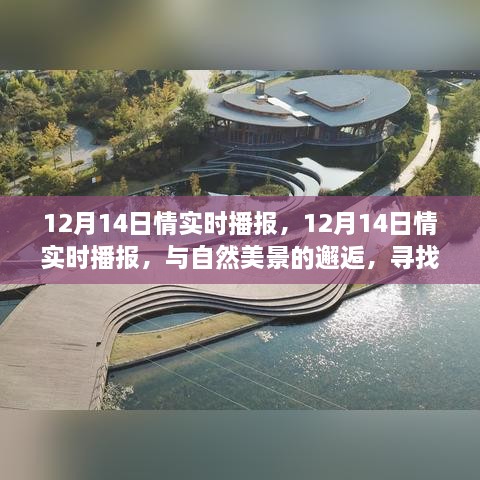 12月14日情实时播报，与自然美景的邂逅，踏寻内心宁静之旅