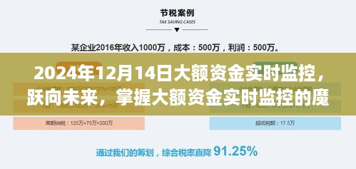 跃向未来，大额资金实时监控的成长之路与魔力揭秘（2024年12月14日）