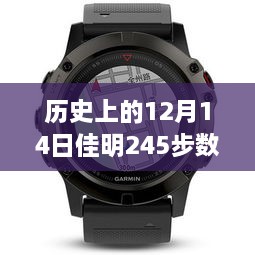 揭秘佳明手表背后的故事，历史上的12月14日与佳明245步数实时更新的幕后故事