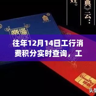 工行消费积分实时查询指南，历年12月14日积分管理与查询系统概述