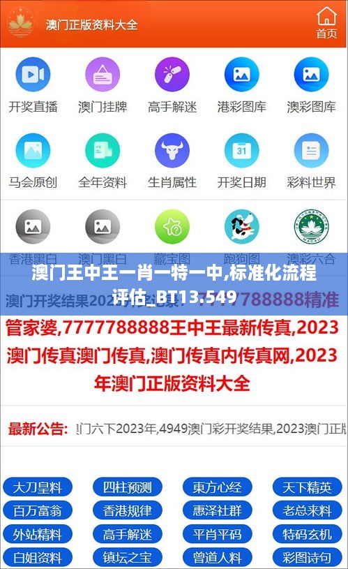 澳门王中王一肖一特一中,标准化流程评估_BT13.549