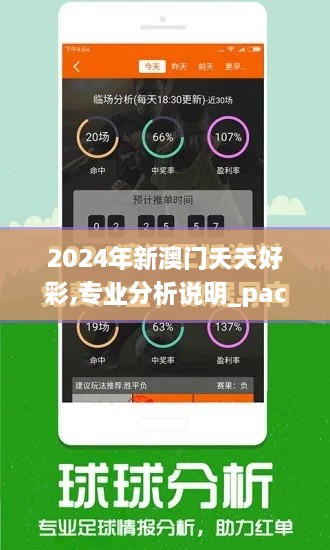 2024年新澳门夭夭好彩,专业分析说明_pack17.195