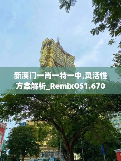 新澳门一肖一特一中,灵活性方案解析_RemixOS1.670