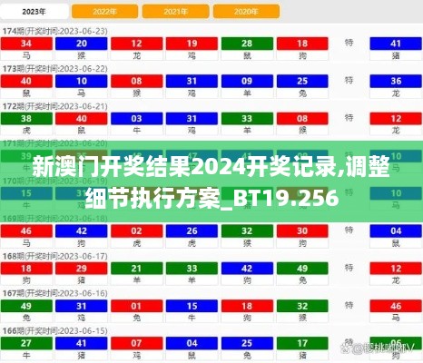 新澳门开奖结果2024开奖记录,调整细节执行方案_BT19.256