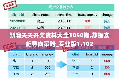 新澳天天开奖资料大全1050期,数据实施导向策略_专业版1.102