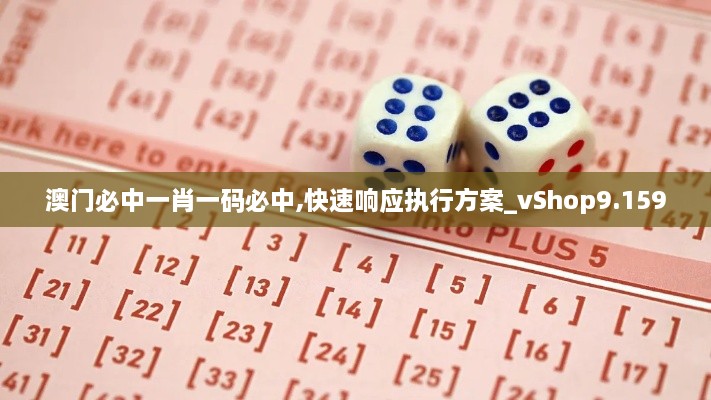 澳门必中一肖一码必中,快速响应执行方案_vShop9.159