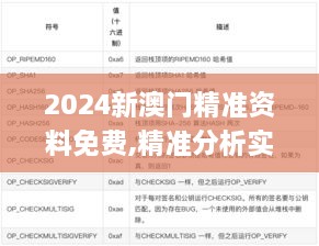 2024新澳门精准资料免费,精准分析实施步骤_Console1.960