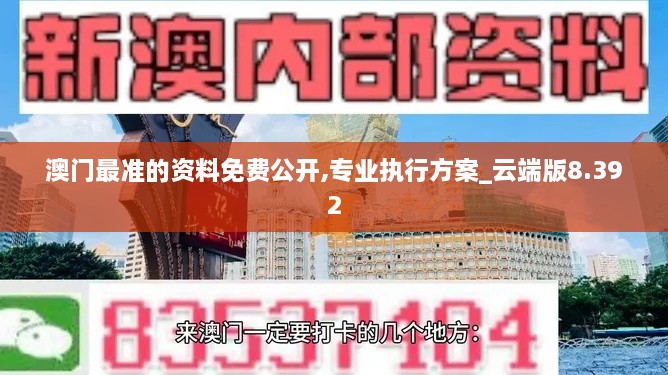 澳门最准的资料免费公开,专业执行方案_云端版8.392