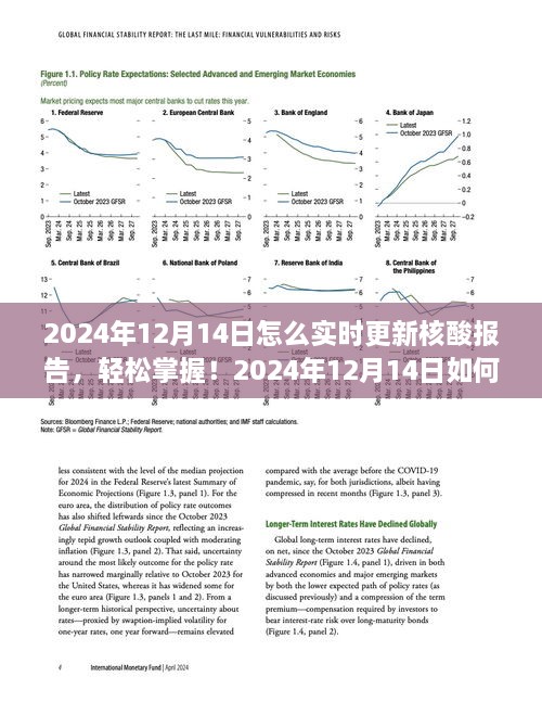 实时更新核酸报告，轻松掌握2024年12月14日最新指南