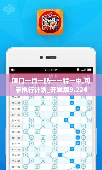 澳门一肖一码一一特一中,可靠执行计划_开发版9.224