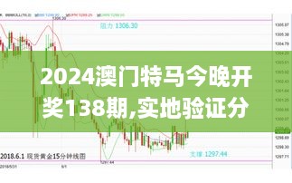 2024澳门特马今晚开奖138期,实地验证分析_N版6.970