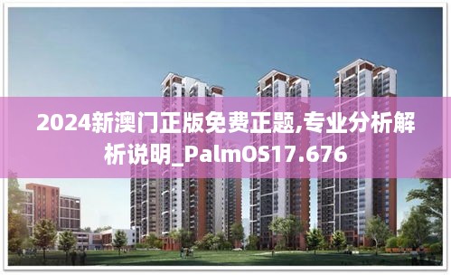 2024新澳门正版免费正题,专业分析解析说明_PalmOS17.676