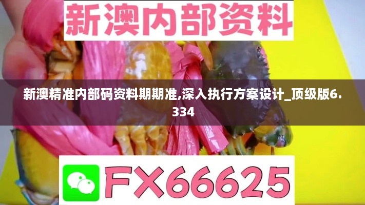 新澳精准内部码资料期期准,深入执行方案设计_顶级版6.334