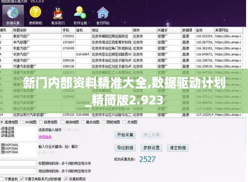 新门内部资料精准大全,数据驱动计划_精简版2.923