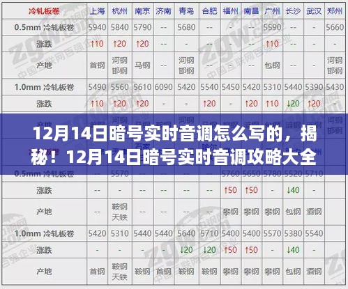 揭秘！掌握12月14日暗号实时音调攻略与技巧轻松上手